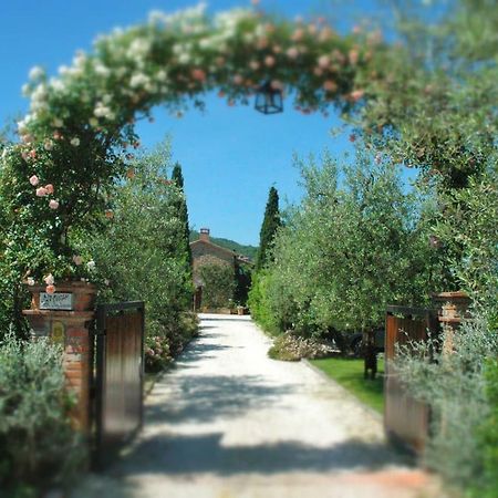 הוילה Paciano Fontanaro Farm And Culinary School מראה חיצוני תמונה