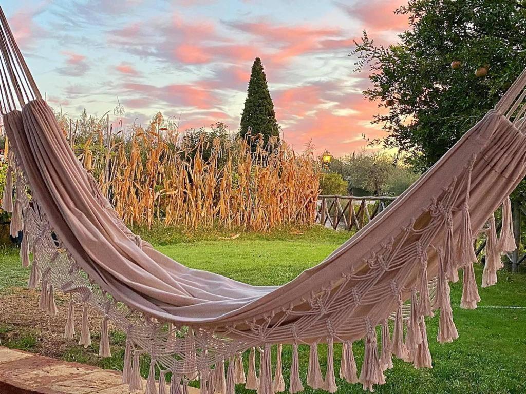 הוילה Paciano Fontanaro Farm And Culinary School מראה חיצוני תמונה