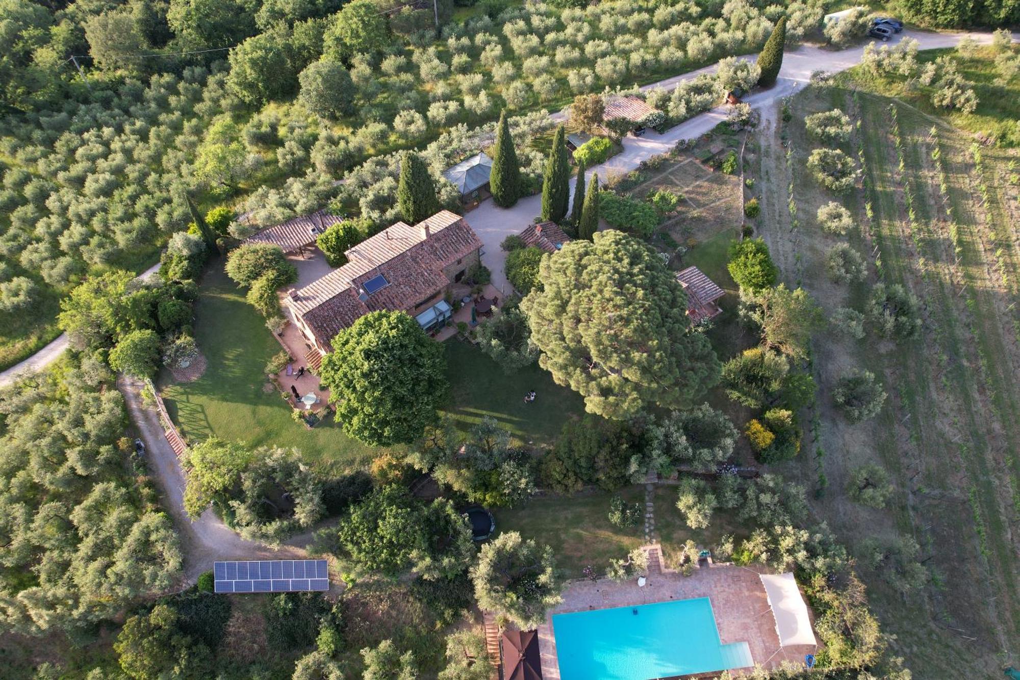 הוילה Paciano Fontanaro Farm And Culinary School מראה חיצוני תמונה
