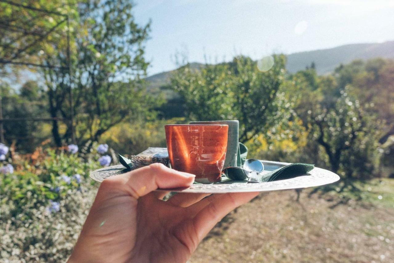 הוילה Paciano Fontanaro Farm And Culinary School מראה חיצוני תמונה