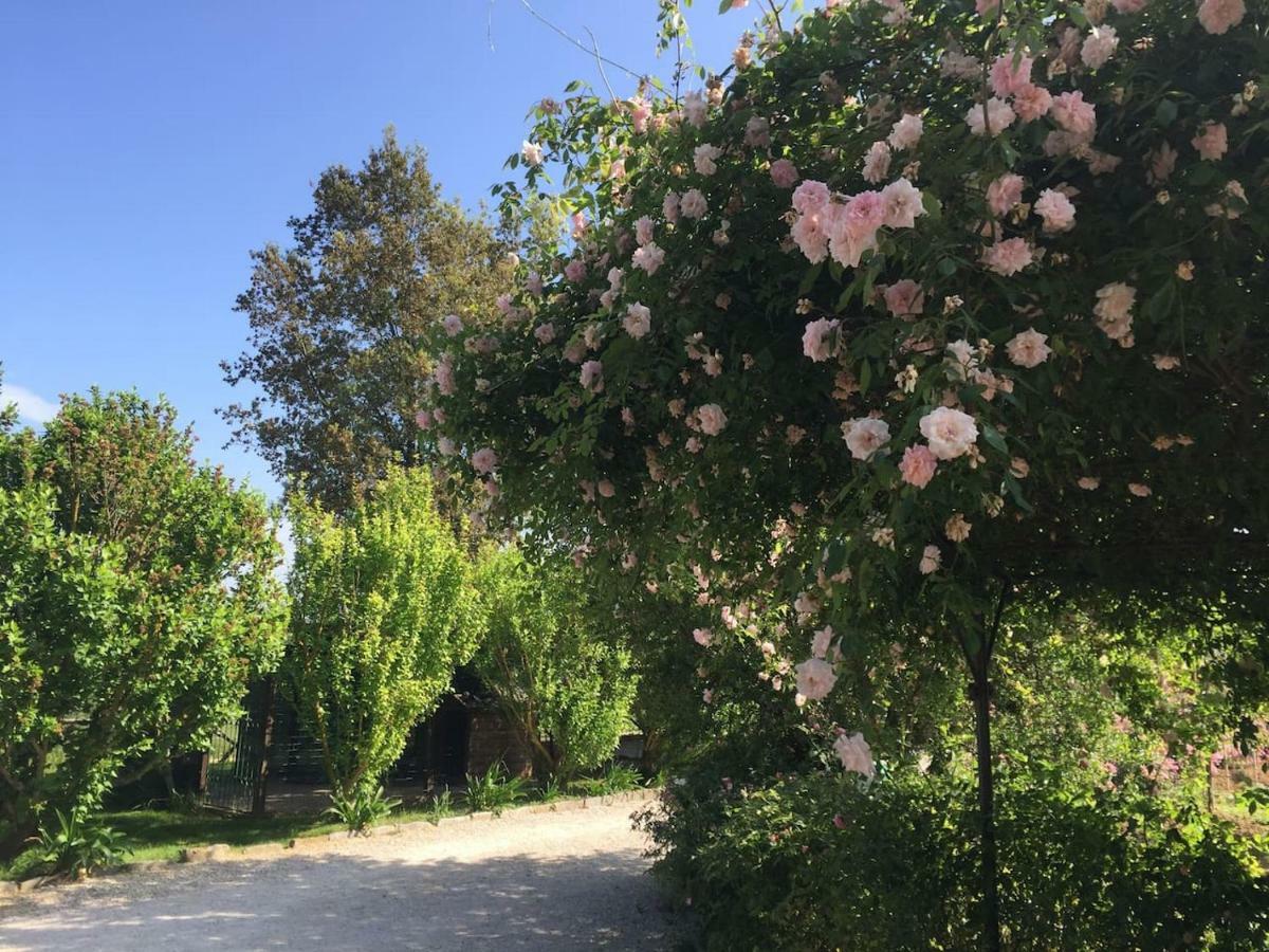 הוילה Paciano Fontanaro Farm And Culinary School מראה חיצוני תמונה
